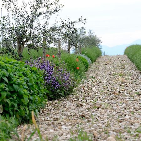 פונטי סול מינצ'יו Agriturismo2Laghi מראה חיצוני תמונה