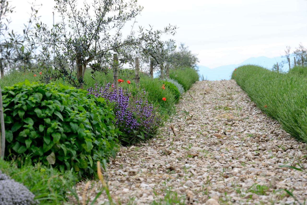 פונטי סול מינצ'יו Agriturismo2Laghi מראה חיצוני תמונה